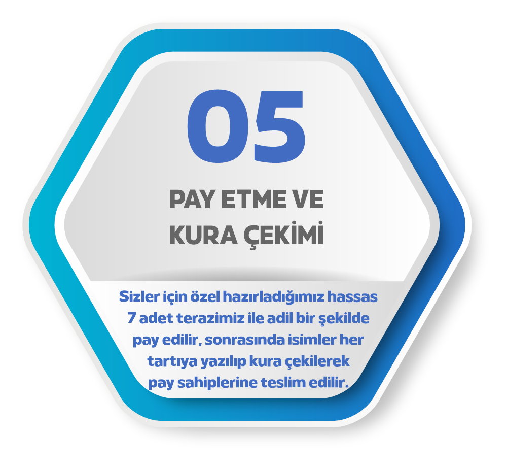 Arıcan Kurbanlık Süreci 5
